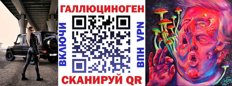 наркота  Яранск  Псилоцибиновые грибы Psilocybine cubensis 